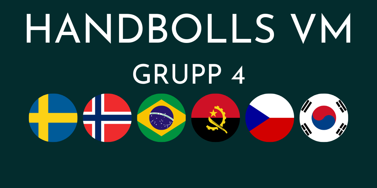 Damernas handbolls VM 2025 grupp 4